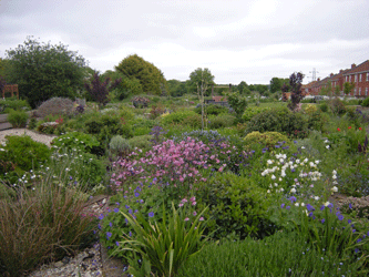 Bowthorpe Heritage Group Community Garden
