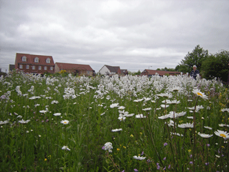 Bowthorpe Heritage Group Community Garden