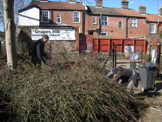 Site clearance March 2010