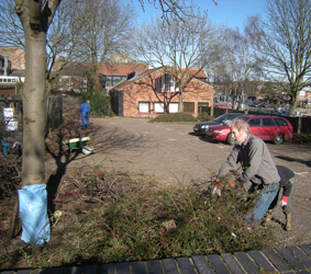 Site clearance March 2010