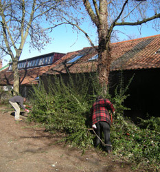 Site clearance March 2010