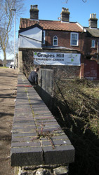 Site clearance March 2010