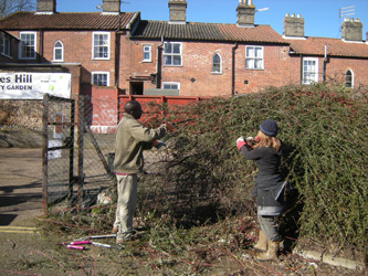 Site clearance March 2010