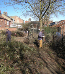 Site clearance March 2010