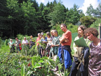 Forest Garden Visit