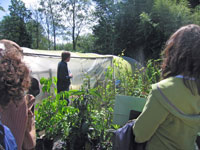 Forest Garden Visit