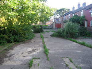 Garden looking south