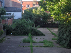 Garden looking north