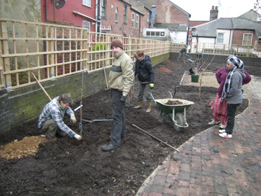 Tree Planting