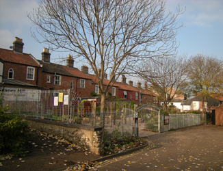 Autumn comes to Grapes Hill Community Garden