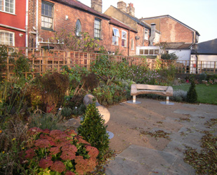 Autumn comes to Grapes Hill Community Garden