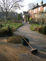 Autumn comes to Grapes Hill Community Garden