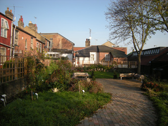 Autumn comes to Grapes Hill Community Garden