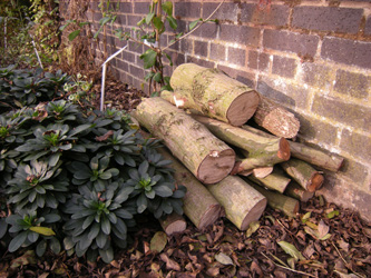 Log habitat pile